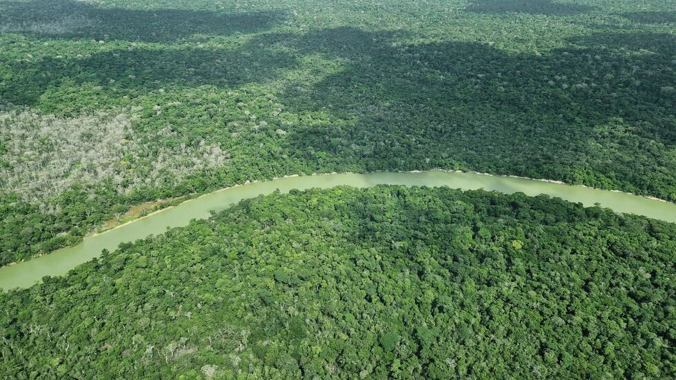 Hier ist der Wald intakt – doch an vielen Stellen ist er schon verloren. Hier ist der Wald intakt – doch an vielen Stellen ist er schon verloren.