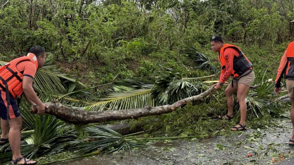 «Fung-Wong» sorgte bereits vor seiner Ankunft für umgestürzte Bäume und Tote.