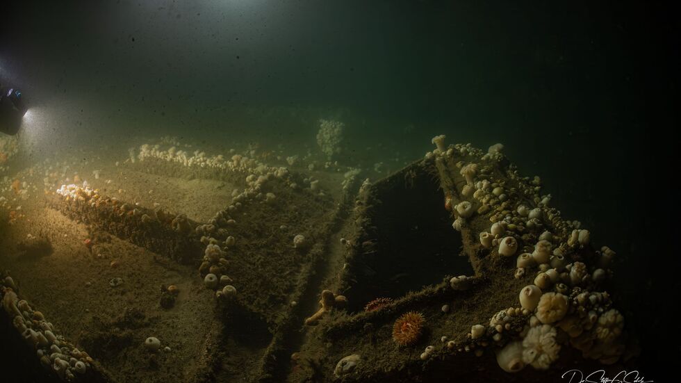 Das Team von «ProjectXplore» hat es sich zum Ziel gesetzt, historisch bedeutsame Schiffswracks zu finden. Das Team von «ProjectXplore» hat es sich zum Ziel gesetzt, historisch bedeutsame Schiffswracks zu finden.