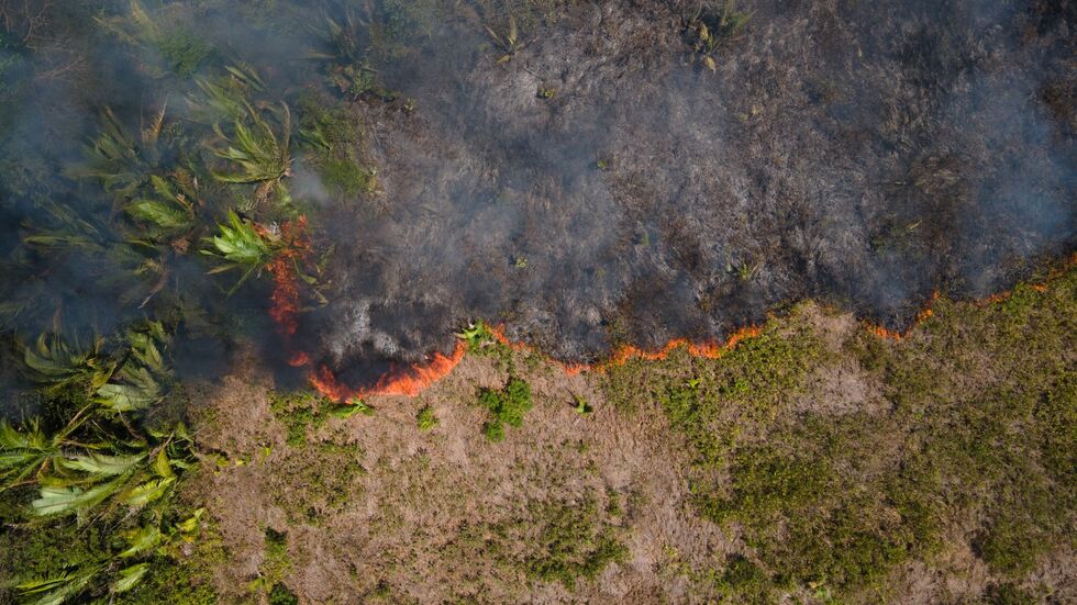 Flammen breiten sich in einem Amazonas-Gebiet aus. (Archivbild)