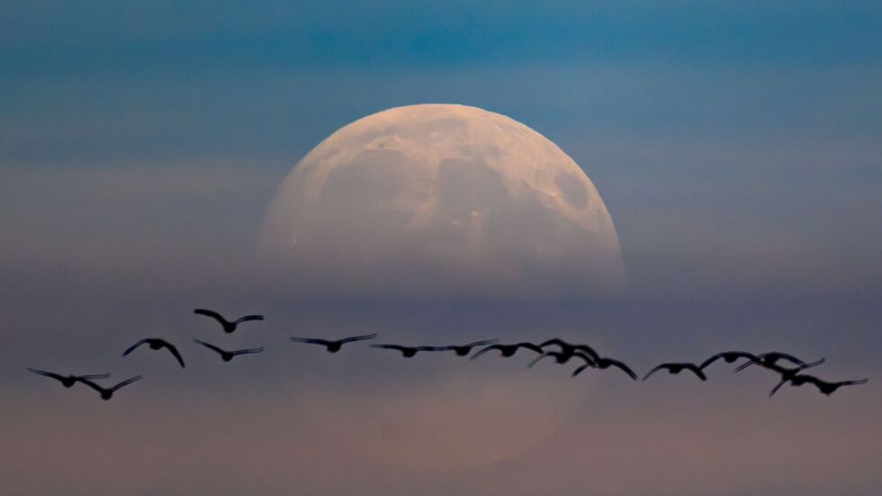 Nach Sonnenuntergang steht heute Abend ein Supermond am Himmel. (Archivbild) Nach Sonnenuntergang steht heute Abend ein Supermond am Himmel. (Archivbild)