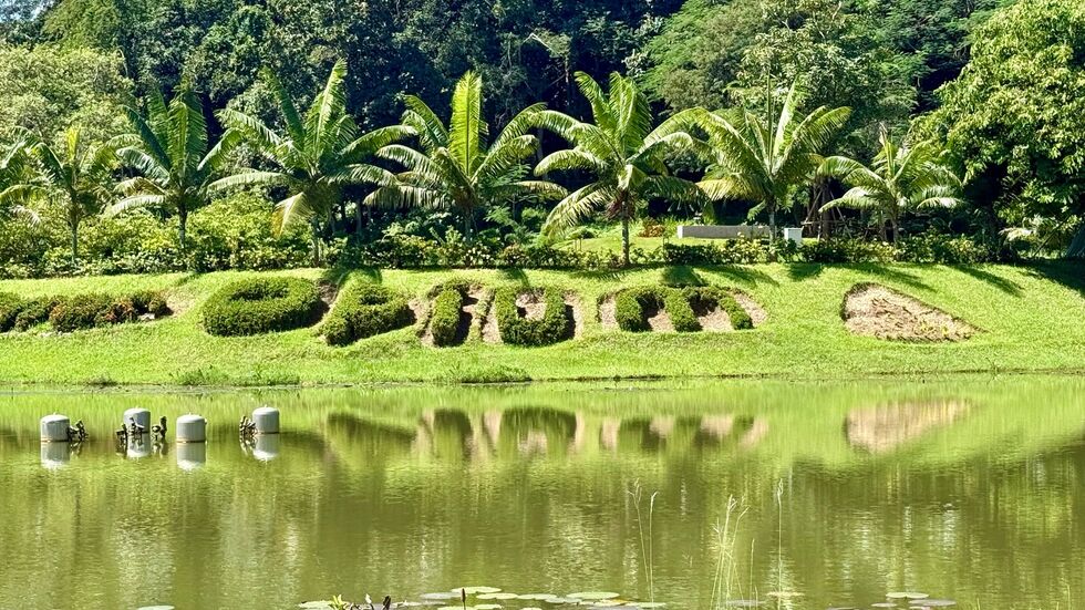 Einst war der Name Goldenes Dreieck ein Synonym für Opiumhandel. Einst war der Name Goldenes Dreieck ein Synonym für Opiumhandel.