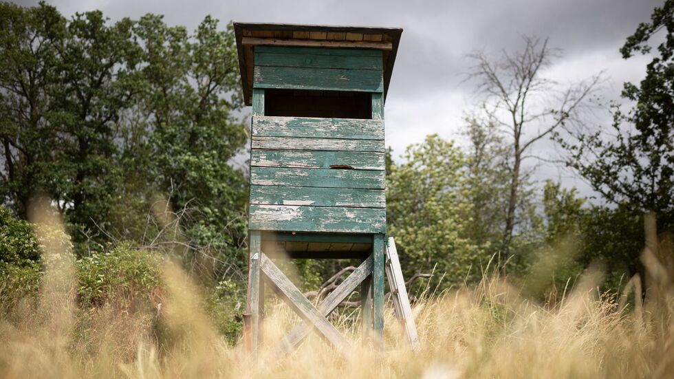 Von einem Hochsitz sichtet ein Jäger im nördlichen Rheinland-Pfalz ein größeres katzenartiges Tier. (Symbolbild) Von einem Hochsitz sichtet ein Jäger im nördlichen Rheinland-Pfalz ein größeres katzenartiges Tier. (Symbolbild)