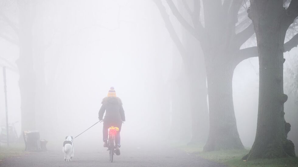 Der Montag startet oftmals bewölkt oder neblig trüb - aber vielerorts ist in den nächsten Tagen Besserung in Sicht.
