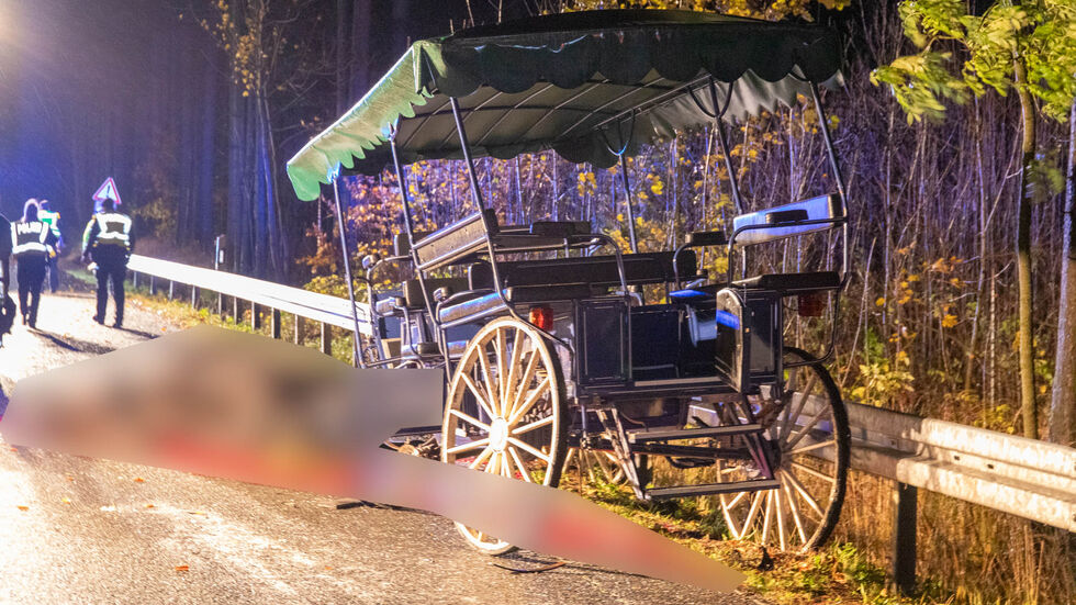 Auch die Kutsche wird schwer beschädigt. Auch die Kutsche wird schwer beschädigt.