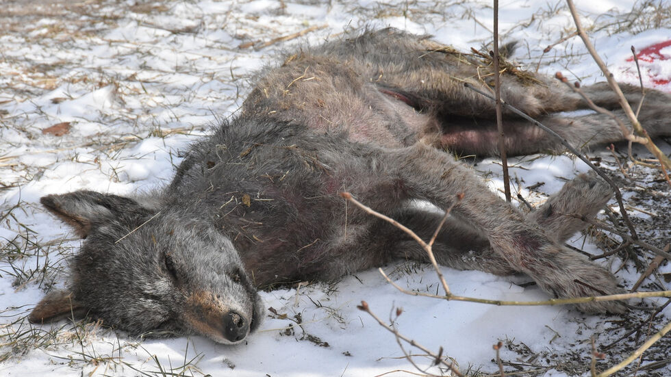 Symbolbild!! Foto: Archiv Symbolbild!! Foto: Archiv