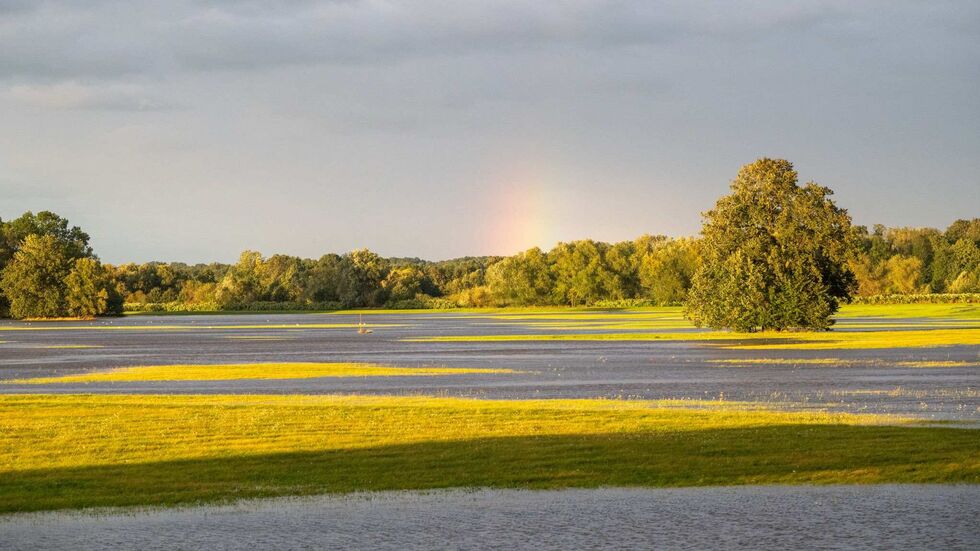 Die Neiße ist über die Ufer getreten. Überflutetes Feld bei Ostritz. Die Neiße ist über die Ufer getreten. Überflutetes Feld bei Ostritz.