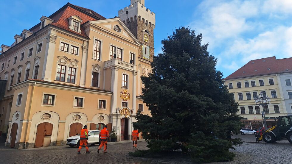 Geschafft! Er steht wieder