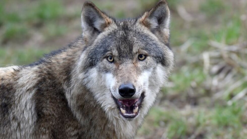 Symbolbild. Foto: dpa