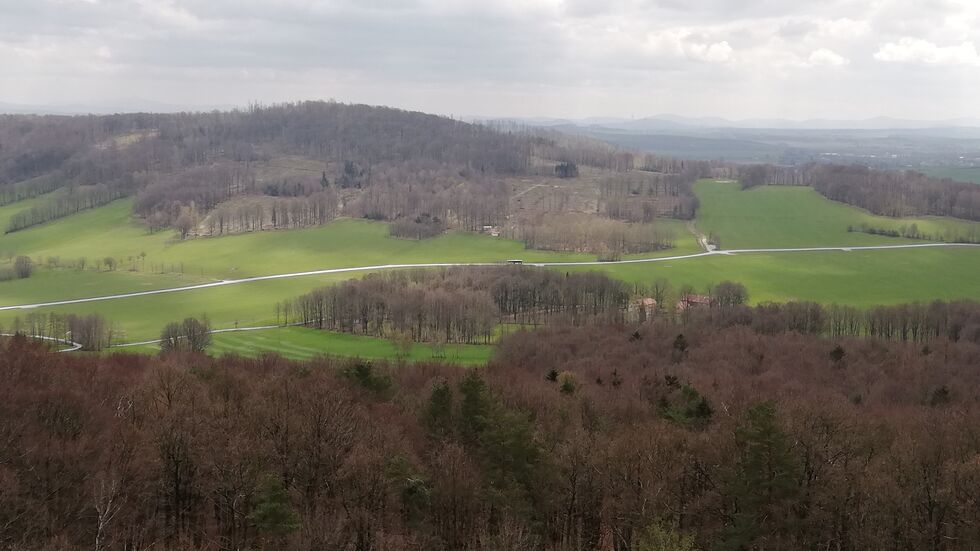 Die Königshainer Berge bei Görlitz - unübersehbar sind die Spuren des Borkenkäfers Die Königshainer Berge bei Görlitz - unübersehbar sind die Spuren des Borkenkäfers