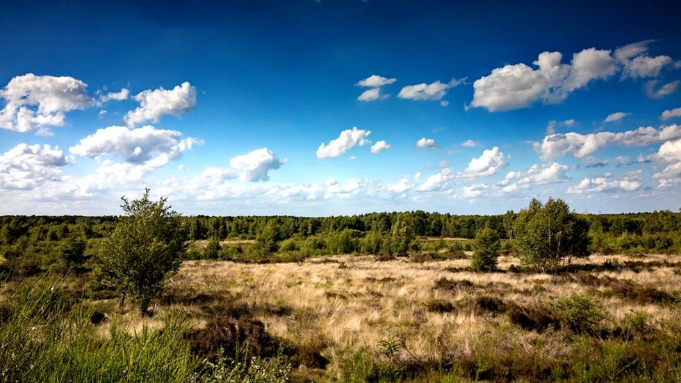 Truppenübungsplatz Oberlausitz. Foto: Pixabay Truppenübungsplatz Oberlausitz. Foto: Pixabay