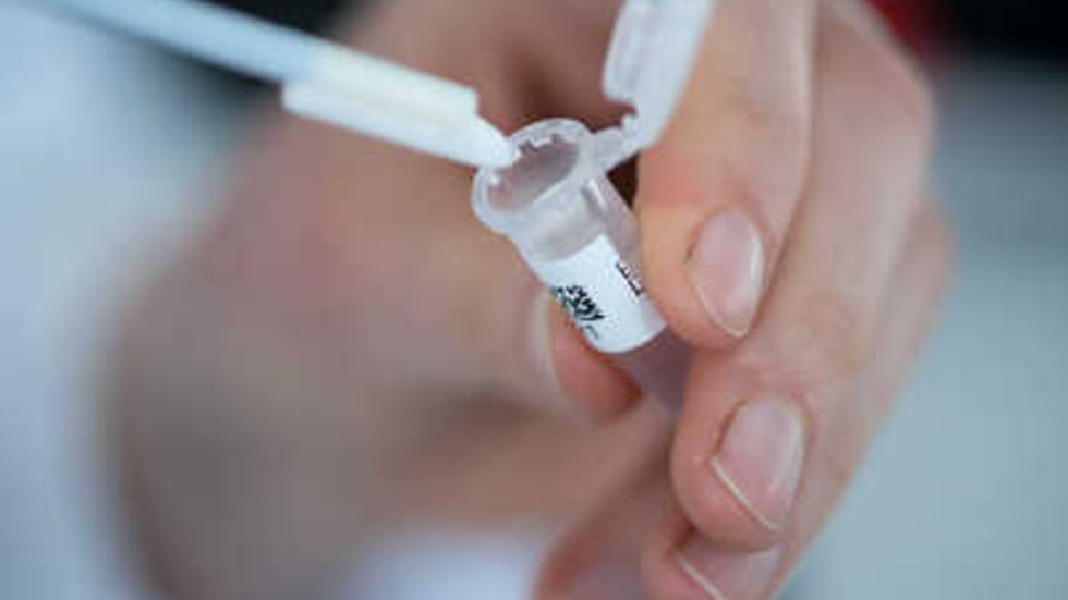 Mit einem Massengentest wollte die Polizei die Mutter der toten Babys finden - ohne Erfolg. © dpa