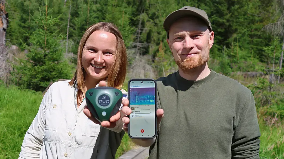 Martina Buchna, Rangerin im Nationalpark Bayerischer Wald, und Entwickler Dr. Stefan Kahl von der Professur Medieninformatik der TU Chemnitz zeigen die Tierstimmen-App „BirdNET Live“. Buchna hält einen Audiologger, der mehrere Tage im Wald Geräusche aufzeichnen kann. Mit solchen Geräten wurden Trainingsdaten für die App gesammelt.
