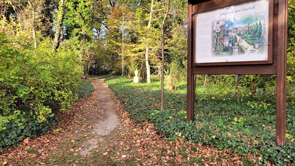 Friedhöfe sind auch Orte der Entdeckung. Naturlehrpfad auf dem städtischen Friedhof in Görlitz.