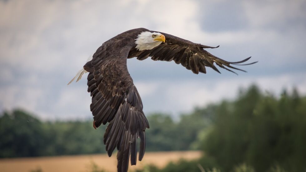 Symbolbild. Foto: Pixabay