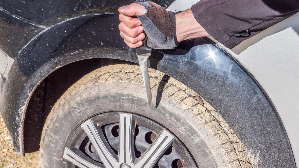 Symbolbild © animaflora picsstock