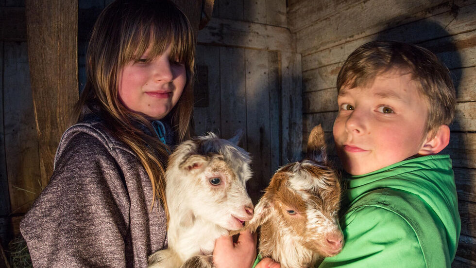Joyce und Jeremy mit den beiden neu geborenen Girgentanaziegen. © Jan Görner Joyce und Jeremy mit den beiden neu geborenen Girgentanaziegen. © Jan Görner
