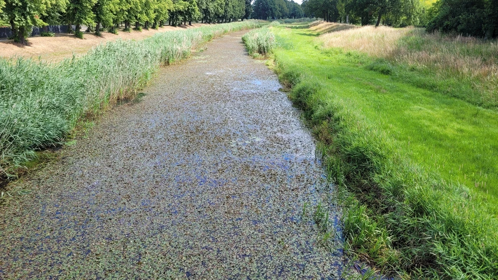 Die Schwarze Elster bei Elsterwerda Die Schwarze Elster bei Elsterwerda