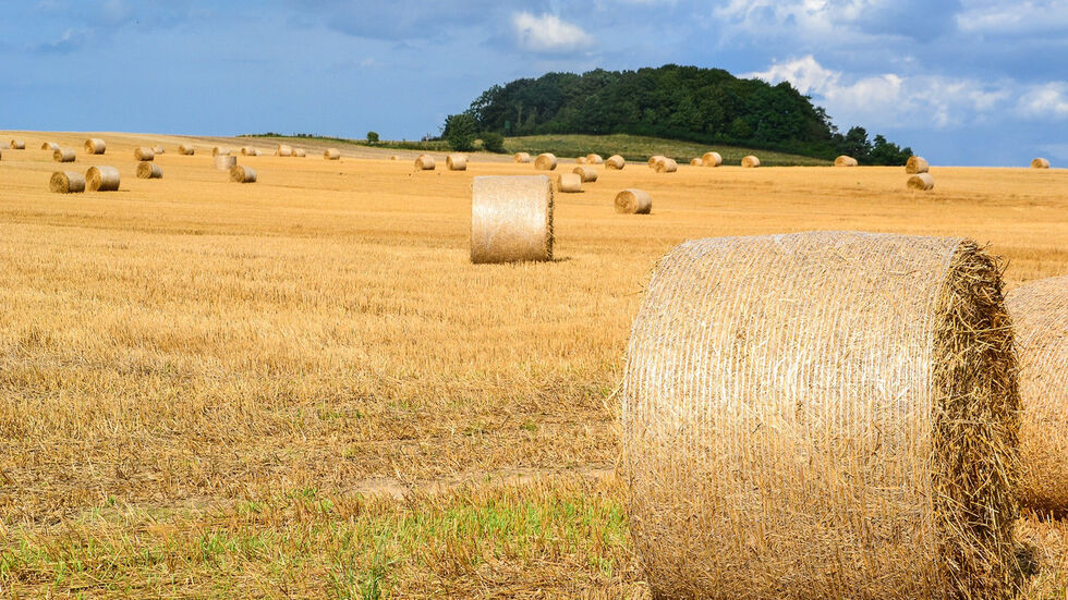 Foto: Pixabay Foto: Pixabay