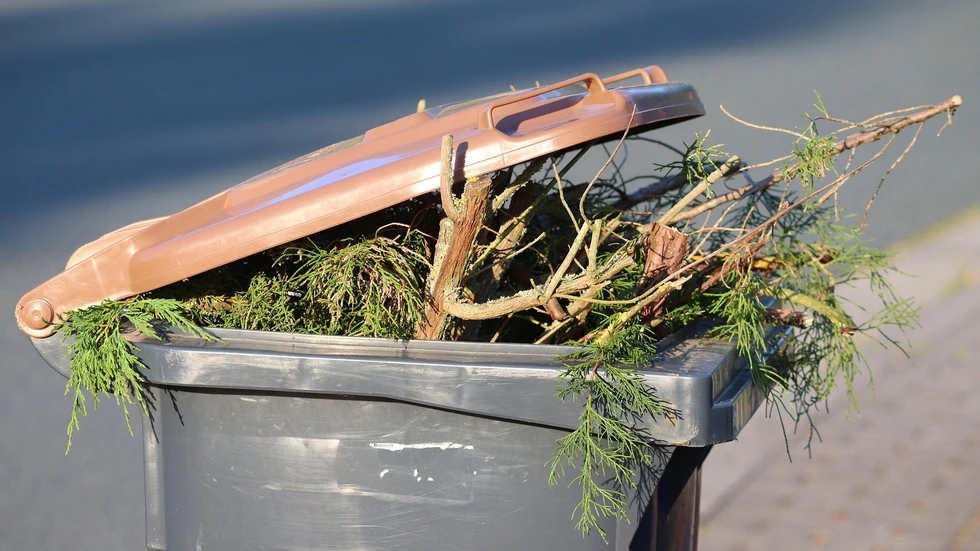 Symbolbild Symbolbild