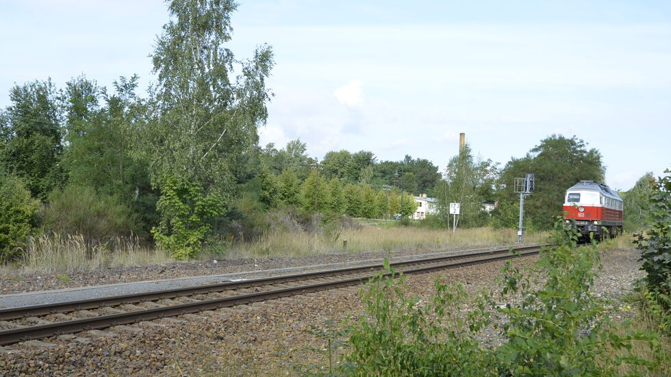Die eingleisige Strecke Görlitz-Cottbus. Eine Diesellok ("Ludmilla") auf dem Weg nach Weißwasser. Die eingleisige Strecke Görlitz-Cottbus. Eine Diesellok ("Ludmilla") auf dem Weg nach Weißwasser.
