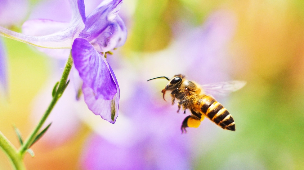 Symbolbild Symbolbild