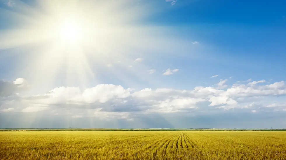 In Sachsen war es 2022 ungewöhnlich warm und sonnig. (Symbolbild) In Sachsen war es 2022 ungewöhnlich warm und sonnig. (Symbolbild)