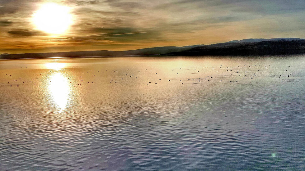 Der Berzdorfer See soll künftig ein Drittel der sauberen Wärme für Görlitz und Zgorzelec liefern. Das Verfahren heißt „Seethermie“. Am See wird ein Wärmetauscher errichtet. „Wasser aus dem See durchläuft die Anlage, die Wärme wird herausgezogen und das Wasser wird wieder zurück in den See geleitet“, erläutert Sascha Caron, Prokurist der Stadtwerke Görlitz. 