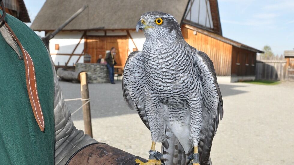 Symbolbild. Foto: Pixabay Symbolbild. Foto: Pixabay