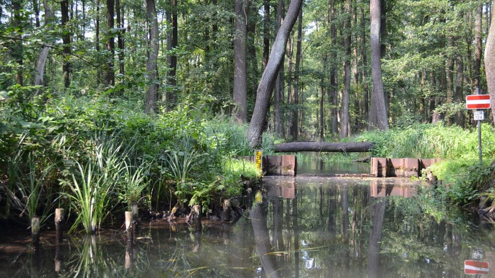 Spreewald. Foto: Pixabay Spreewald. Foto: Pixabay